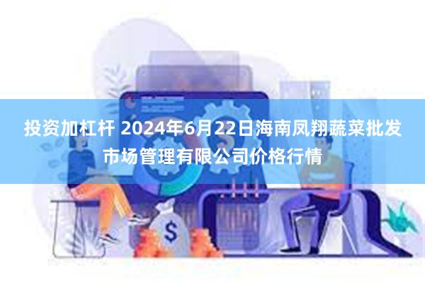 投资加杠杆 2024年6月22日海南凤翔蔬菜批发市场管理有限公司价格行情