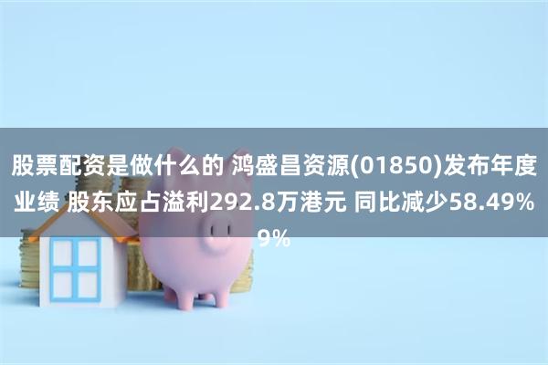 股票配资是做什么的 鸿盛昌资源(01850)发布年度业绩 股东应占溢利292.8万港元 同比减少58.49%