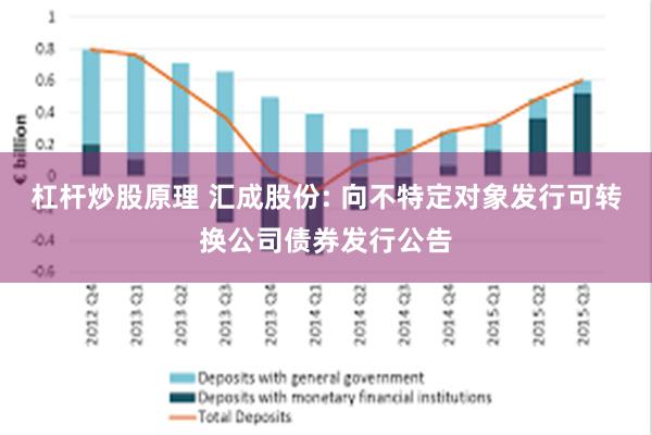 杠杆炒股原理 汇成股份: 向不特定对象发行可转换公司债券发行公告