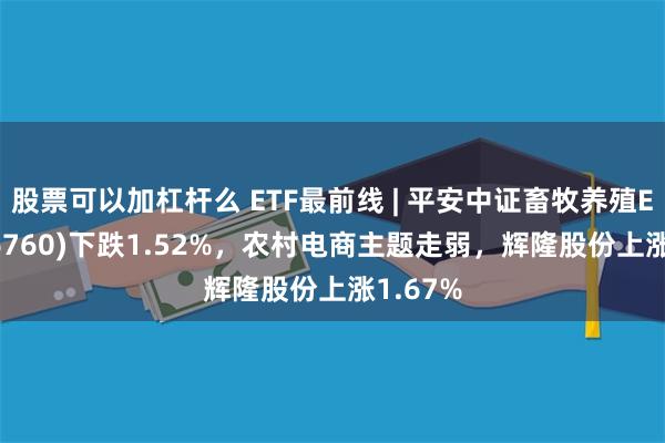 股票可以加杠杆么 ETF最前线 | 平安中证畜牧养殖ETF(516760)下跌1.52%，农村电商主题走弱，辉隆股份上涨1.67%