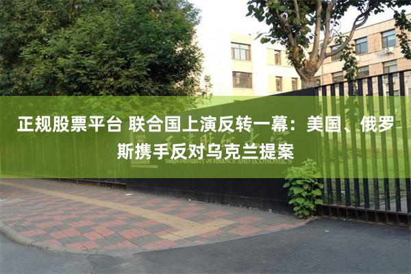 正规股票平台 联合国上演反转一幕:美国、俄罗斯携手反对乌克兰提案