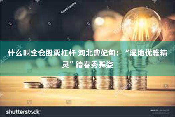 什么叫全仓股票杠杆 河北曹妃甸：“湿地优雅精灵”踏春秀舞姿