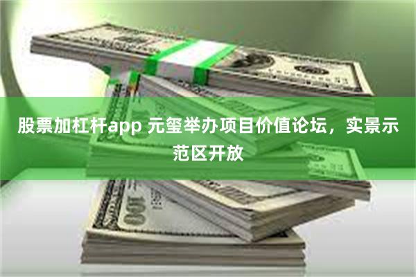 股票加杠杆app 元玺举办项目价值论坛，实景示范区开放