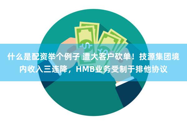 什么是配资举个例子 遭大客户砍单！技源集团境内收入三连降，HMB业务受制于排他协议