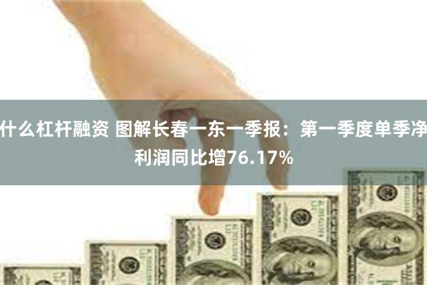 什么杠杆融资 图解长春一东一季报：第一季度单季净利润同比增76.17%