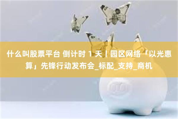 什么叫股票平台 倒计时 1 天丨园区网络「以光惠算」先锋行动发布会_标配_支持_商机