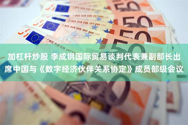 加杠杆炒股 李成钢国际贸易谈判代表兼副部长出席中国与《数字经济伙伴关系协定》成员部级会议