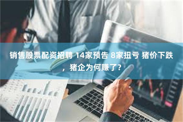 销售股票配资招聘 14家预告 8家扭亏 猪价下跌，猪企为何赚了？