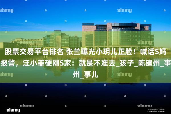 股票交易平台排名 张兰曝光小玥儿正脸！喊话S妈要报警，汪小菲硬刚S家：就是不准去_孩子_陈建州_事儿