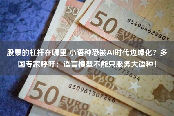 股票的杠杆在哪里 小语种恐被AI时代边缘化？多国专家呼吁：语言模型不能只服务大语种！
