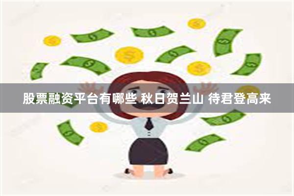 股票融资平台有哪些 秋日贺兰山 待君登高来