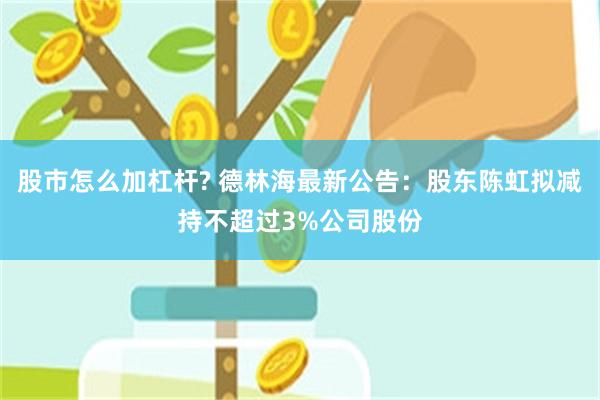 股市怎么加杠杆? 德林海最新公告：股东陈虹拟减持不超过3%公司股份