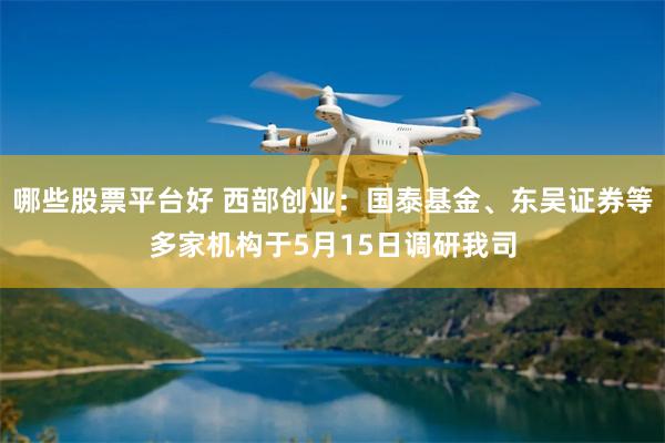 哪些股票平台好 西部创业：国泰基金、东吴证券等多家机构于5月15日调研我司