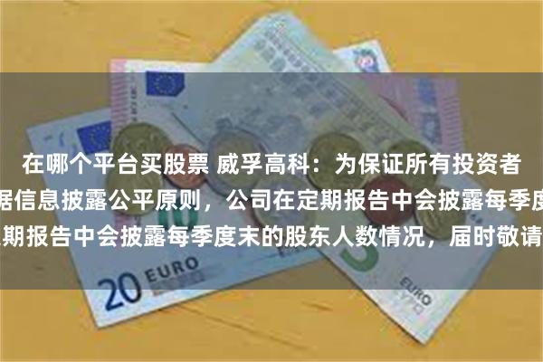 在哪个平台买股票 威孚高科：为保证所有投资者平等获悉公司信息，根据信息披露公平原则，公司在定期报告中会披露每季度末的股东人数情况，届时敬请查阅