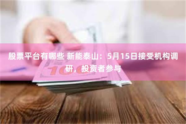股票平台有哪些 新能泰山：5月15日接受机构调研，投资者参与