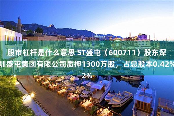 股市杠杆是什么意思 ST盛屯(600711)股东深圳盛屯集团有限公司质押1300万股,占总股本0.42%