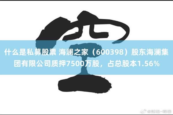 什么是私募股票 海澜之家（600398）股东海澜集团有限公司质押7500万股，占总股本1.56%