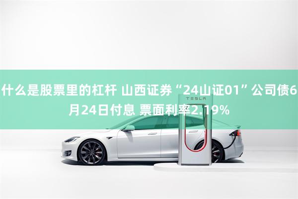 什么是股票里的杠杆 山西证券“24山证01”公司债6月24日付息 票面利率2.19%