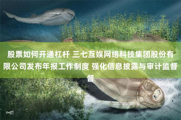 股票如何开通杠杆 三七互娱网络科技集团股份有限公司发布年报工作制度 强化信息披露与审计监督