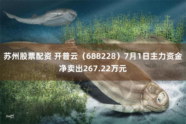 苏州股票配资 开普云(688228)7月1日主力资金净卖出267.22万元