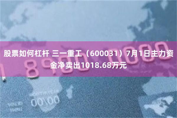 股票如何杠杆 三一重工(600031)7月1日主力资金净卖出1018.68万元