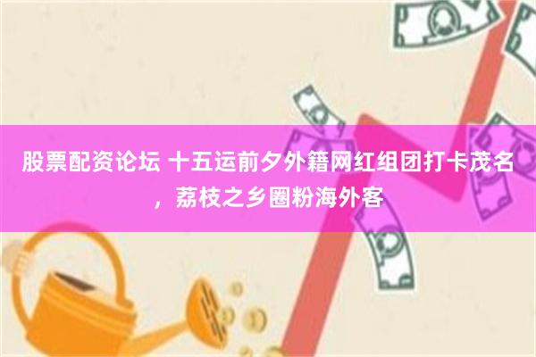 股票配资论坛 十五运前夕外籍网红组团打卡茂名,荔枝之乡圈粉海外客