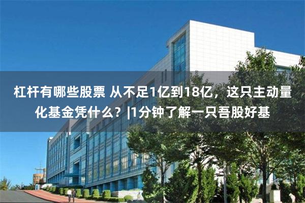 杠杆有哪些股票 从不足1亿到18亿，这只主动量化基金凭什么？|1分钟了解一只吾股好基