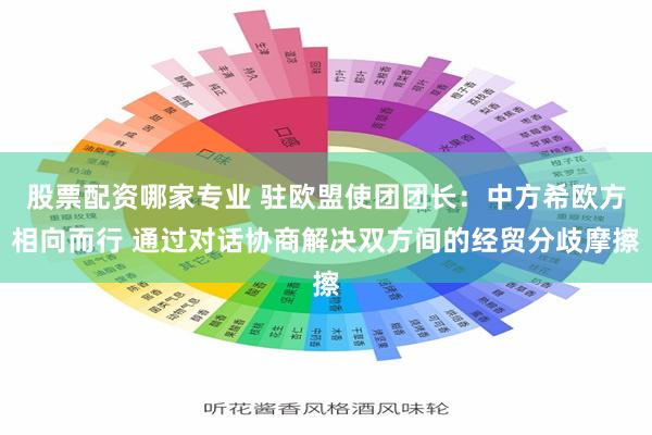 股票配资哪家专业 驻欧盟使团团长：中方希欧方相向而行 通过对话协商解决双方间的经贸分歧摩擦