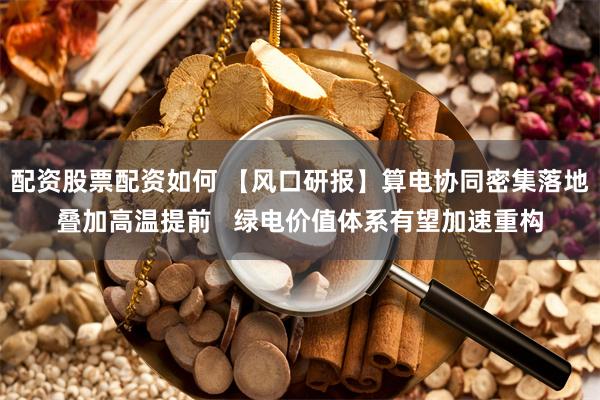配资股票配资如何 【风口研报】算电协同密集落地叠加高温提前   绿电价值体系有望加速重构