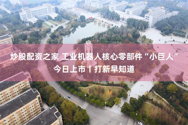 炒股配资之家 工业机器人核心零部件“小巨人”今日上市丨打新早知道