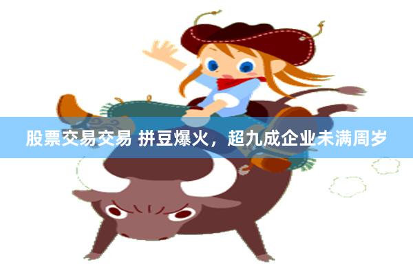股票交易交易 拼豆爆火，超九成企业未满周岁