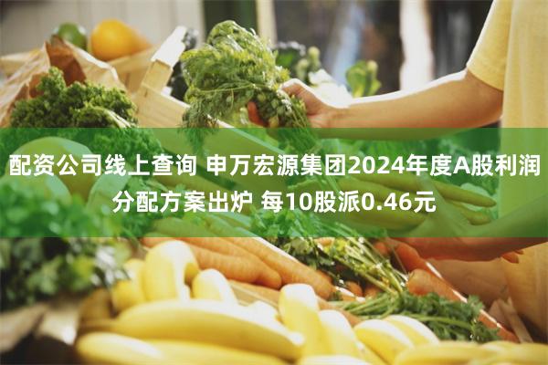 配资公司线上查询 申万宏源集团2024年度A股利润分配方案出炉 每10股派0.46元