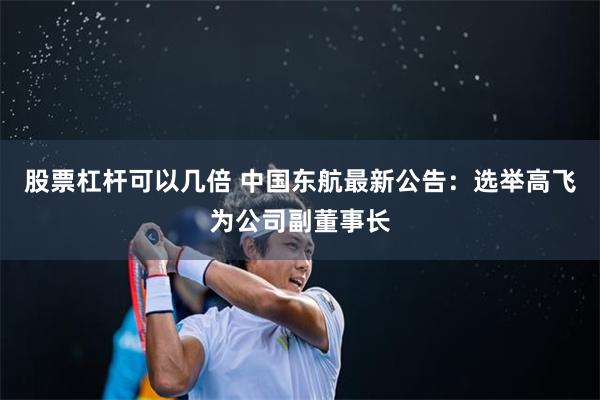 股票杠杆可以几倍 中国东航最新公告：选举高飞为公司副董事长