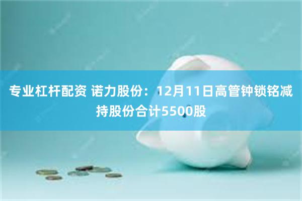 专业杠杆配资 诺力股份：12月11日高管钟锁铭减持股份合计5500股