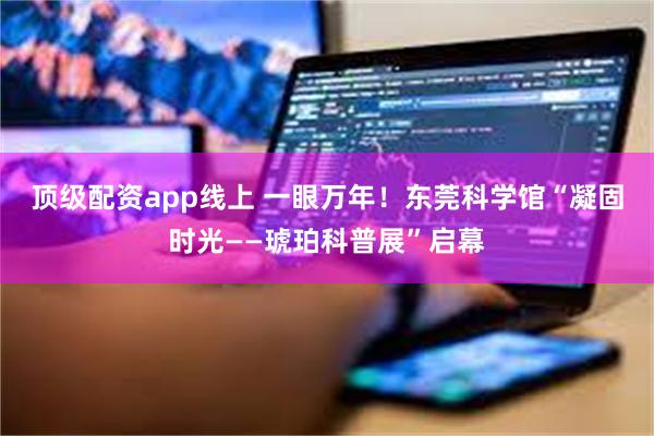 顶级配资app线上 一眼万年！东莞科学馆“凝固时光——琥珀科普展”启幕