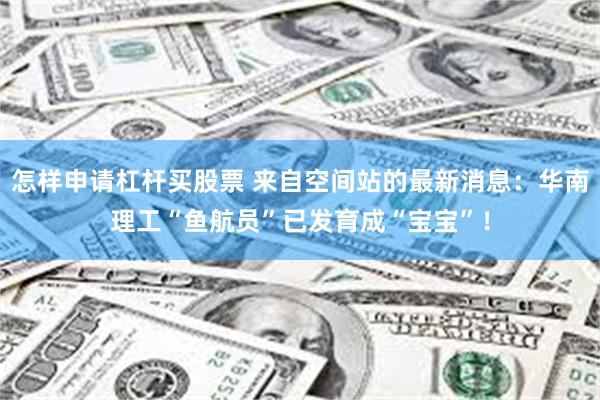 怎样申请杠杆买股票 来自空间站的最新消息：华南理工“鱼航员”已发育成“宝宝”！