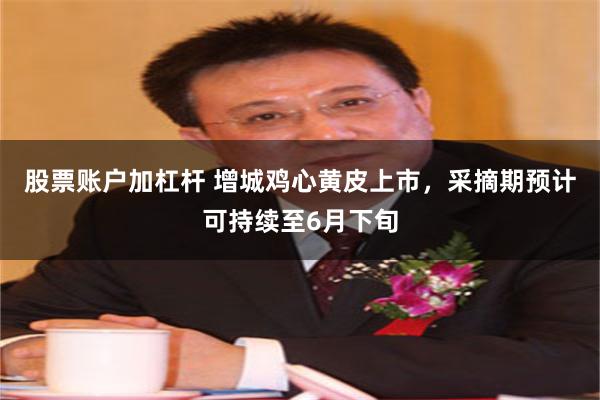 股票账户加杠杆 增城鸡心黄皮上市，采摘期预计可持续至6月下旬