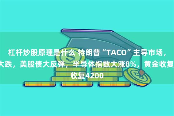 杠杆炒股原理是什么 特朗普“TACO”主导市场，原油大跌，美股债大反弹，半导体指数大涨8%，黄金收复4200