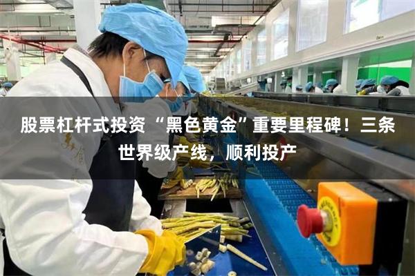 股票杠杆式投资 “黑色黄金”重要里程碑！三条世界级产线，顺利投产