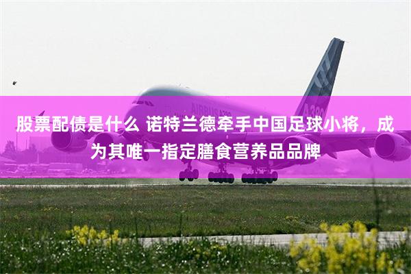 股票配债是什么 诺特兰德牵手中国足球小将,成为其唯一指定膳食营养品品牌