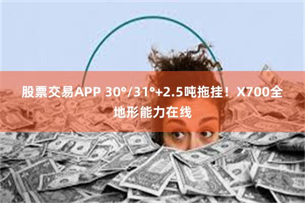 股票交易APP 30°/31°+2.5吨拖挂！X700全地形能力在线