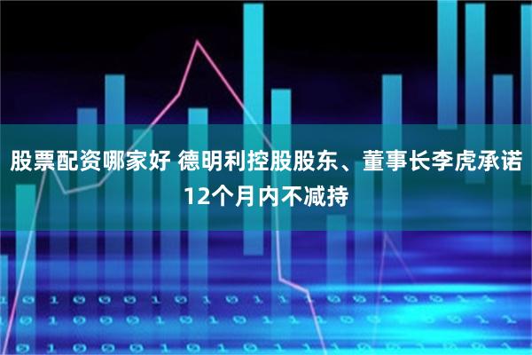 股票配资哪家好 德明利控股股东、董事长李虎承诺12个月内不减持