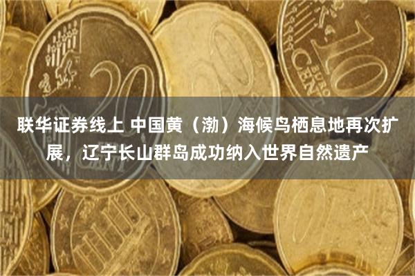 联华证券线上 中国黄(渤)海候鸟栖息地再次扩展,辽宁长山群岛成功纳入世界自然遗产