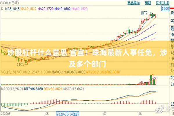 炒股杠杆什么意思 官宣！珠海最新人事任免，涉及多个部门