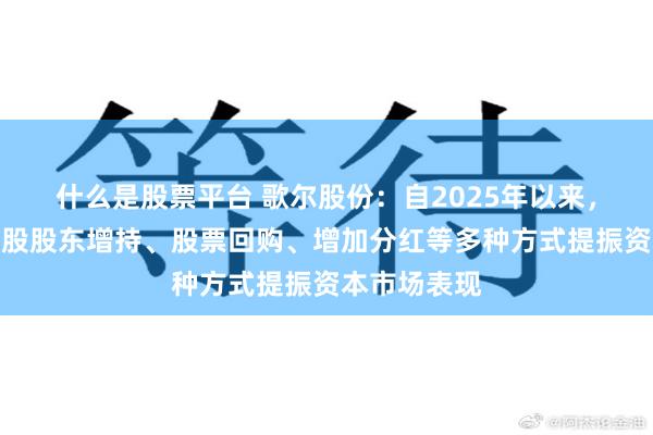 什么是股票平台 歌尔股份：自2025年以来，公司通过控股股东增持、股票回购、增加分红等多种方式提振资本市场表现