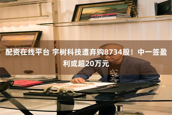 配资在线平台 宇树科技遭弃购8734股！中一签盈利或超20万元