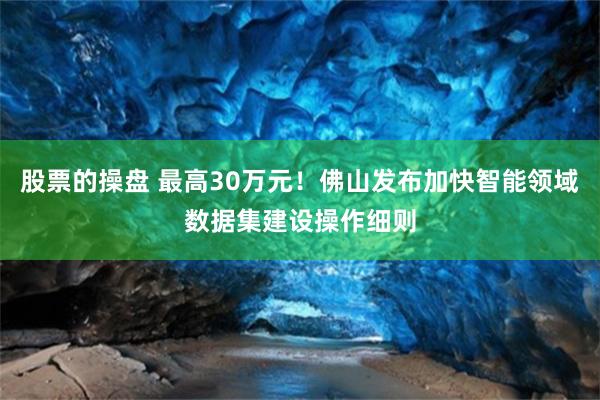 股票的操盘 最高30万元！佛山发布加快智能领域数据集建设操作细则