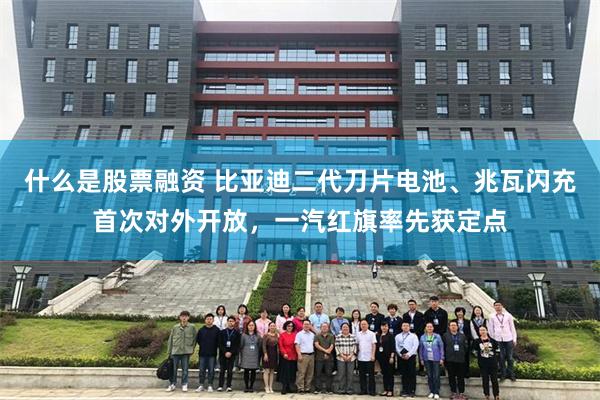 什么是股票融资 比亚迪二代刀片电池、兆瓦闪充首次对外开放，一汽红旗率先获定点