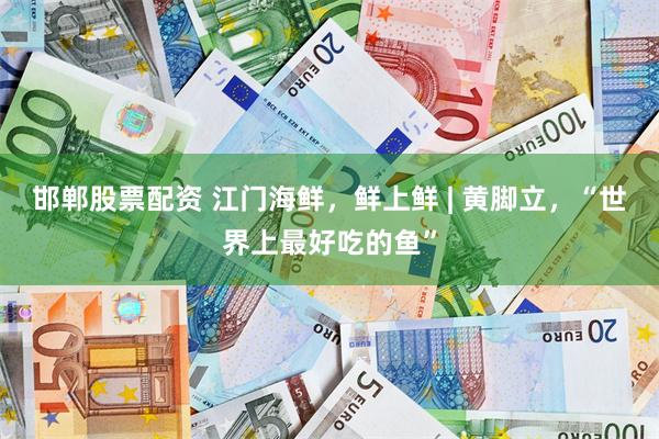 邯郸股票配资 江门海鲜，鲜上鲜 | 黄脚立，“世界上最好吃的鱼”