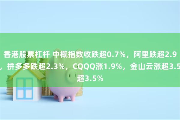 香港股票杠杆 中概指数收跌超0.7%，阿里跌超2.9%，拼多多跌超2.3%，CQQQ涨1.9%，金山云涨超3.5%